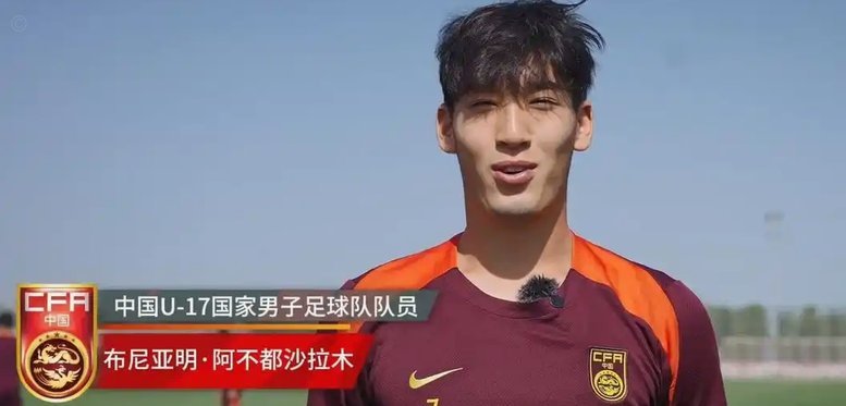 全面解析布尼亚明的生物质能之路