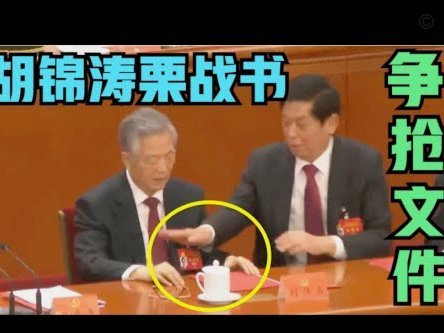 董路未带小毛参赛，选材标准引热议