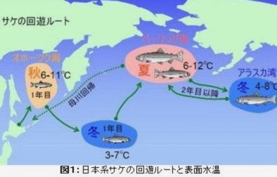 布伦特福德3-0热刺，双边卫建功蒂亚戈失点