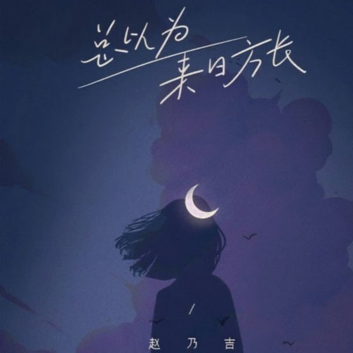 赵松源：光环下的隐忧